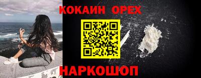 бошки Кингисепп