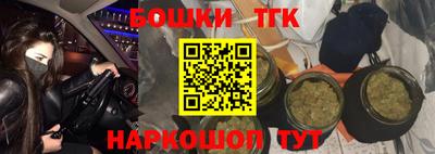 бошки Кингисепп