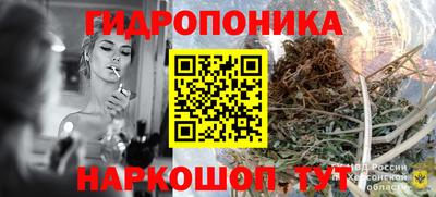 винт Кимры