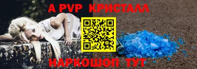 бошки Кингисепп