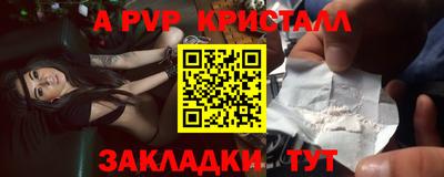 бошки Кингисепп
