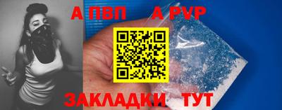 бошки Кингисепп