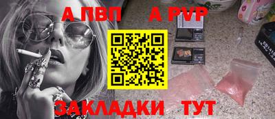 бошки Кингисепп