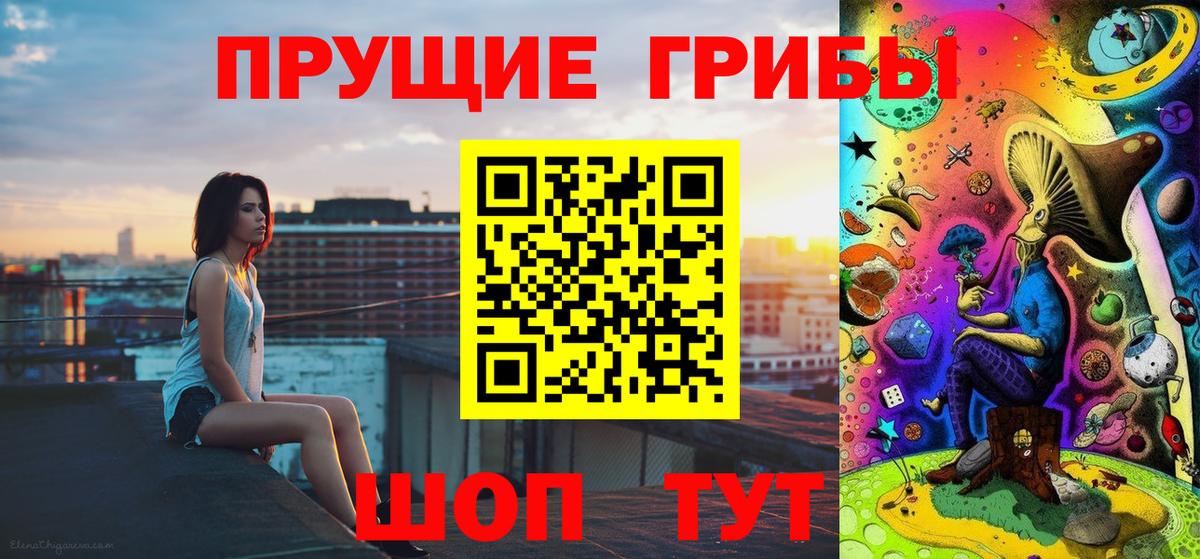 Псилоцибиновые грибы Psilocybine cubensis Киржач