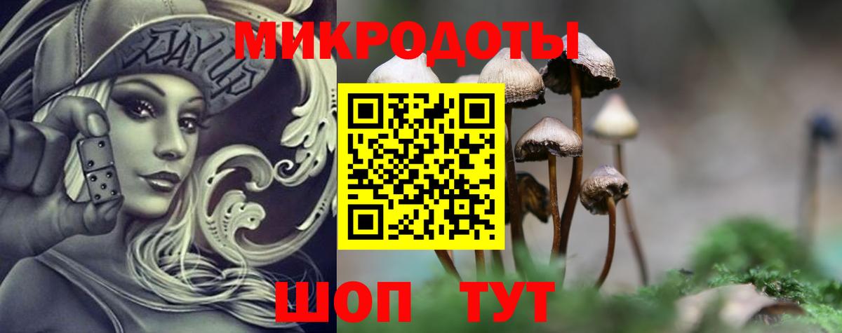 Псилоцибиновые грибы GOLDEN TEACHER  Вход с VPN  Киржач 
